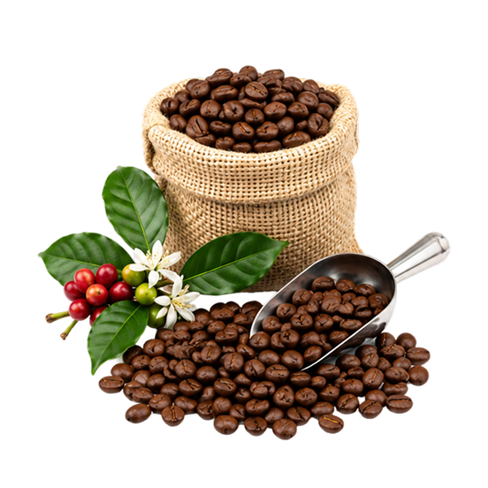 arabica