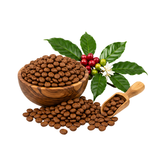 robusta